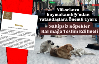 Yüksekova Kaymakamlığı’ndan Vatandaşlara Önemli...