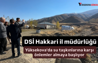DSİ Hakkari il müdürlüğü, Yüksekova'nın su taşkınlarına karşı önlemler almaya başlıyor