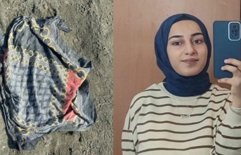 Rojin Kabaiş soruşturmasında sürpriz tanık: Arabaya...