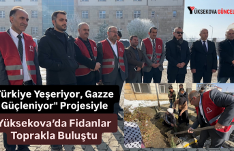 Türkiye Yeşeriyor, Gazze Güçleniyor" Projesiyle Yüksekova’da Fidanlar Toprakla Buluştu