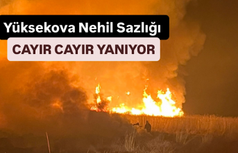 Yüksekova Nehil Sazlığı cayır cayır yanıyor