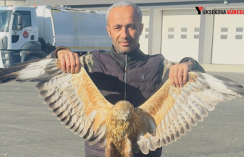 Yüksekova’da bulunan yaralı baykuşu tedavi altına alındı