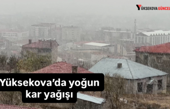Yüksekova’da yoğun kar yağışı