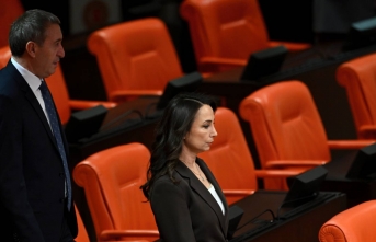 Hatimoğulları: Silahsızlanmanın hızlanmasını sağlayacak olan özel bir yasanın çıkarılmasını bekliyoruz