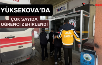 Yüksekova’da çok sayıda öğrenci zehirlendi