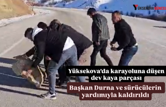 Yüksekova’da karayoluna düşen dev kaya parçası, Başkan Durna ve sürücülerin yardımıyla kaldırıldı