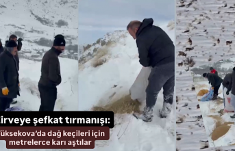 Zirveye şefkat tırmanışı: Yüksekova’da dağ...