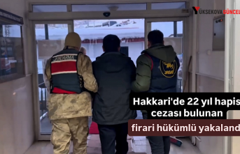Hakkari'de 22 yıl hapis cezası bulunan firari...