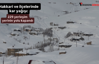 Hakkari ve ilçelerinde kar yağışı: 229 yerleşim yerinin yolu kapandı