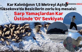 Kar Kalınlığının 1,5 Metreyi Aştığı Yüksekova’da...