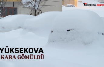 Yüksekova kara gömüldü