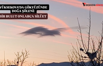 Yüksekova’da Gökyüzünde Doğa Şöleni: Bir...