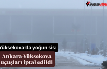 Yüksekova’da yoğun sis: Ankara-Yüksekova uçuşları...