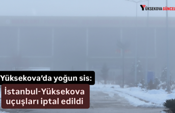 Yüksekova’da yoğun sis: İstanbul-Yüksekova uçuşları...