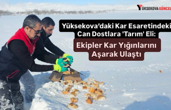 Yüksekova’daki Kar Esaretindeki Can Dostlara 'Tarım' Eli: Ekipler Kar Yığınlarını Aşarak Ulaştı