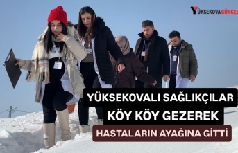 Yüksekovalı sağlıkçılar köy köy gezerek hastaların...