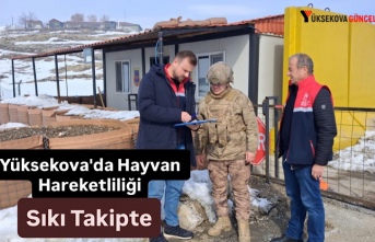 Yüksekova'da Hayvan Hareketliliği Sıkı