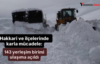 Hakkari ve ilçelerinde karla mücadele: 143 yerleşim...
