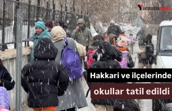 Hakkari ve ilçelerinde okullar tatil edildi