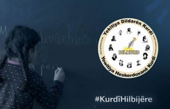 Kürtçe için anayasal güvence çağrısı