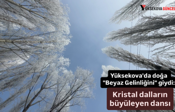 Yüksekova'da doğa "Beyaz Gelinliğini"...
