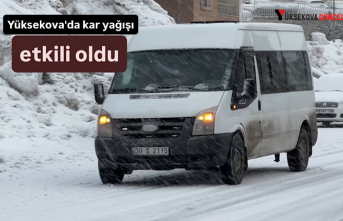 Yüksekova'da kar yağışı etkili oldu