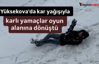 Yüksekova'da kar yağışıyla karlı yamaçlar oyun alanına dönüştü