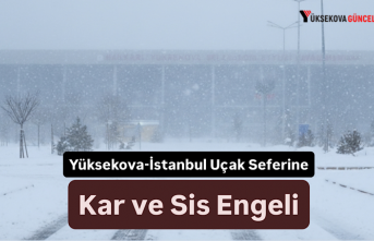 Yüksekova-İstanbul Uçak Seferine Kar ve Sis Engeli