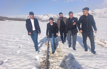 Yüksekova Belediyesi Eşbaşkanı Çalışmaları...