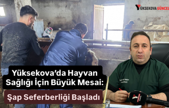 Yüksekova’da Hayvan Sağlığı İçin Büyük Mesai: Şap Seferberliği Başladı