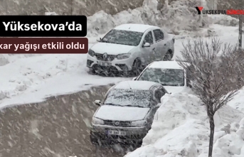 Yüksekova’da kar yağışı etkili oldu