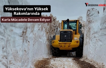 Yüksekova’nın Yüksek Rakımlarında Karla Mücadele...