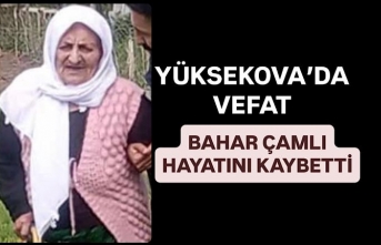 Çamlı ailesinin acı günü