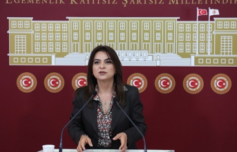 Gülistan Kılıç Koçyiğit: Bir an önce yasalar çıkmalı