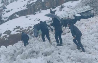 Hakkari'de 1 tır çığ altında kaldı