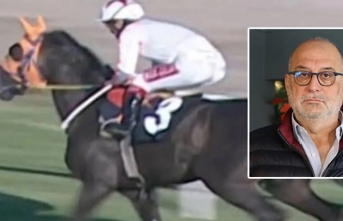 Kavurmadan İngiliz yarış atı çıkmıştı: Sahibine...