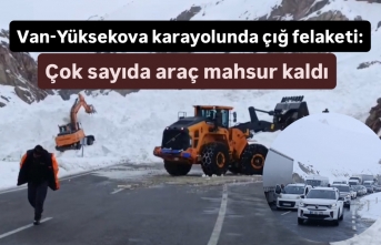 Van-Yüksekova karayolunda çığ felaketi: Çok sayıda...