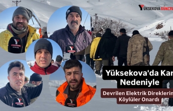 Yüksekova'da Kar Nedeniyle Devrilen Elektrik...