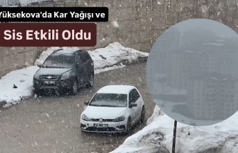 Yüksekova'da Kar Yağışı ve Sis Etkili Oldu