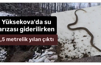 Yüksekova'da su arızası giderilirken 1,5 metrelik...