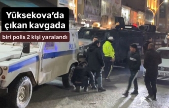 Yüksekova’da çıkan kavgada biri polis 2 kişi yaralandı