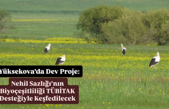 Yüksekova’da Dev Proje: Nehil Sazlığı’nın...