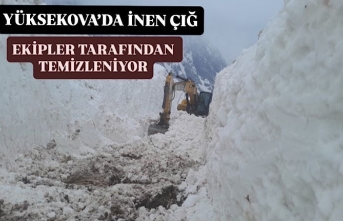 Yüksekova’da İnen Çığ Ekipler Tarafından Temizleniyor