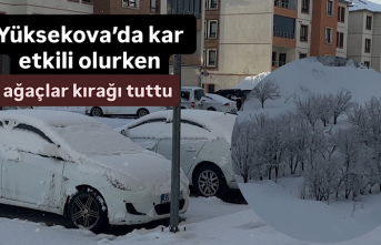 Yüksekova’da kar etkili olurken, ağaçlar kırağı tuttu