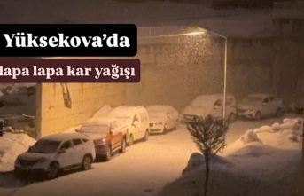 Yüksekova’da Kar Yağışı