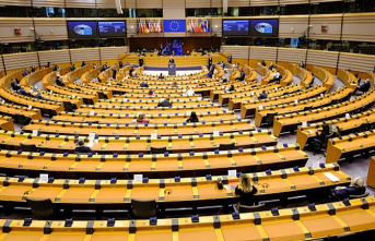 Avrupalı raportörlerden Türkiye’ye ortak ‘yerel...