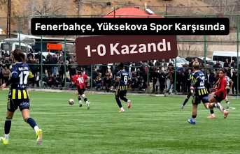 Fenerbahçe, Yüksekova Spor Karşısında 1-0 Kazandı