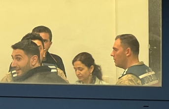 Gülistan Doku soruşturması: Eski valinin oğlu...