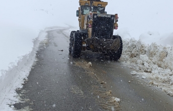 Hakkari’de Nisan Karı: 13 Köy ve 33 Mezra Yolu Kapandı