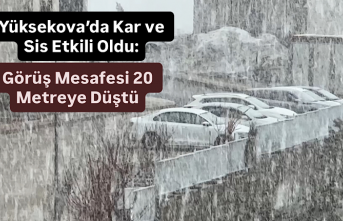 Yüksekova’da Kar ve Sis Etkili Oldu: Görüş Mesafesi 20 Metreye Düştü